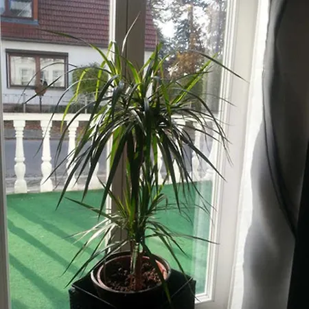 Aida Heringsdorf (Usedom)