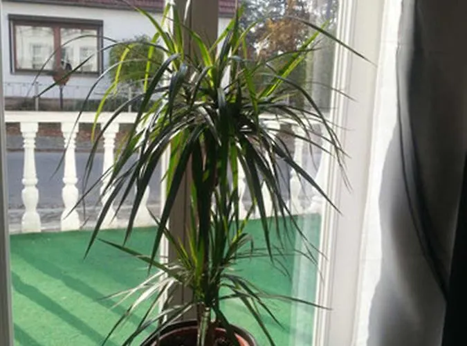 Aida Heringsdorf (Usedom)